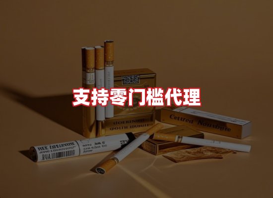 专业团队